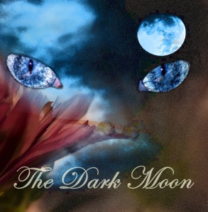 dark-moon-photo copy